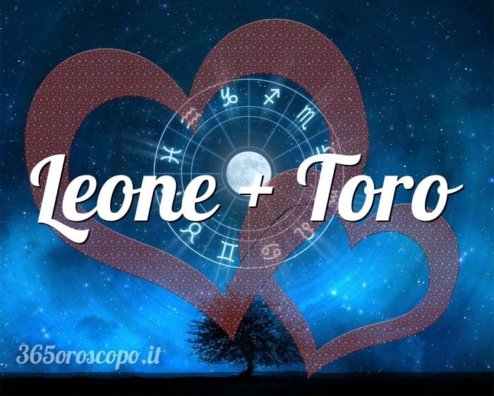 Leone + Toro