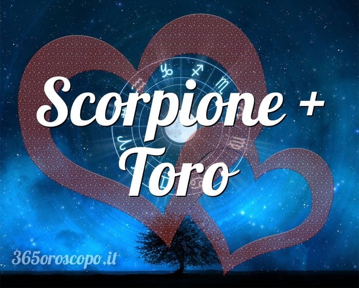 Scorpione + Toro