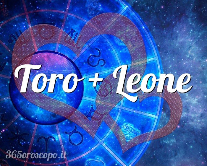 Toro + Leone