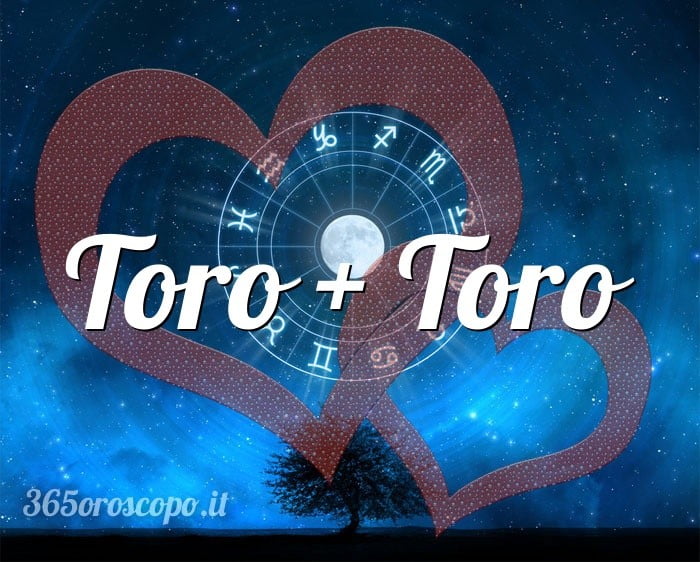 Toro + Toro