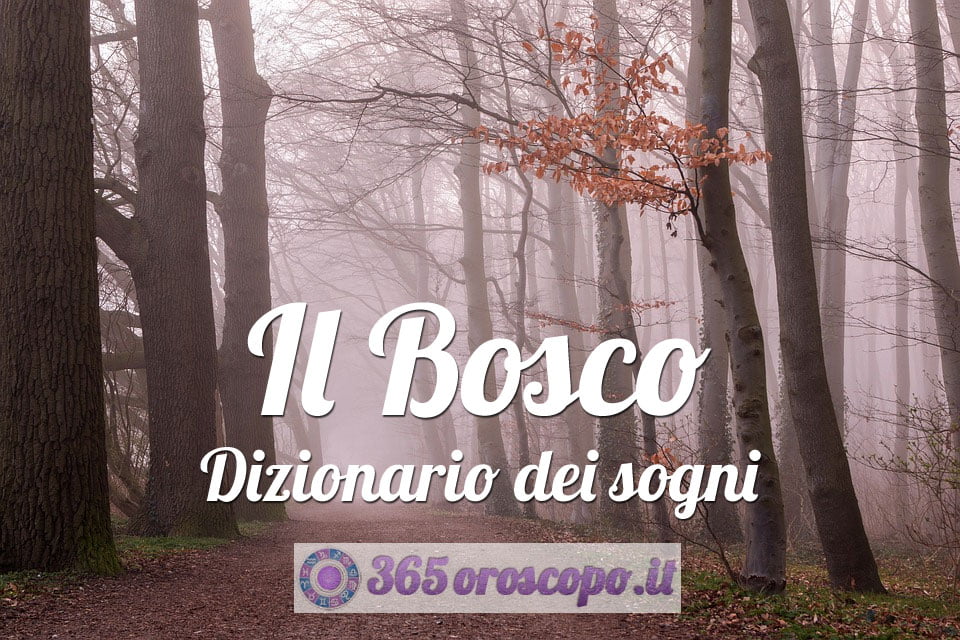 Il Bosco - Dizionario dei sogni